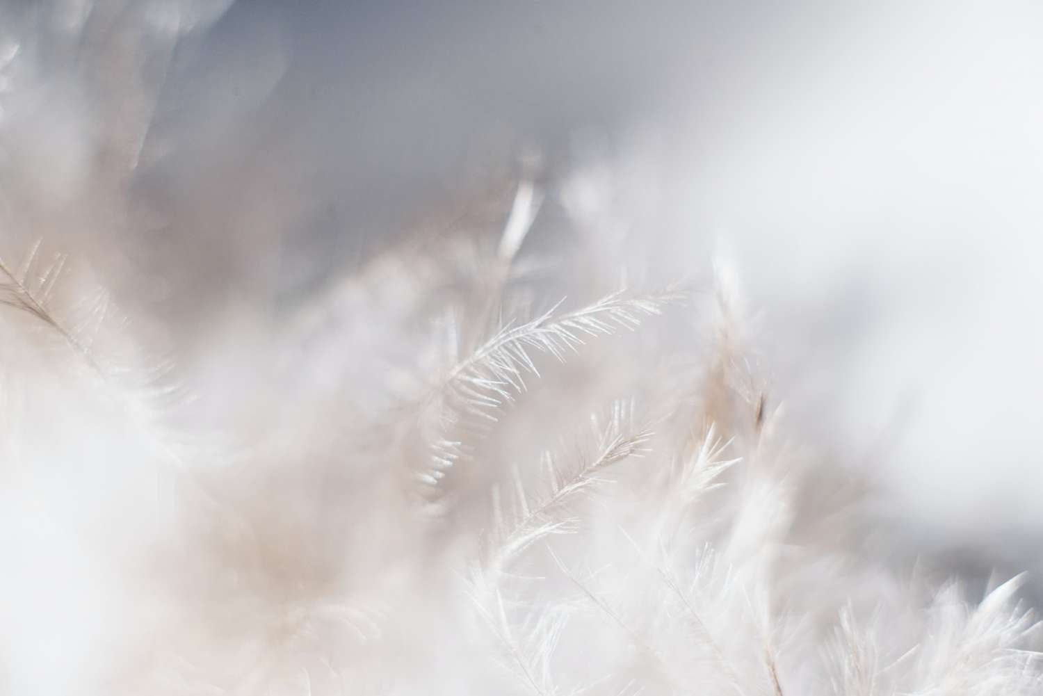 O mnie 1 evie s Sw7f58YJbc0 unsplash